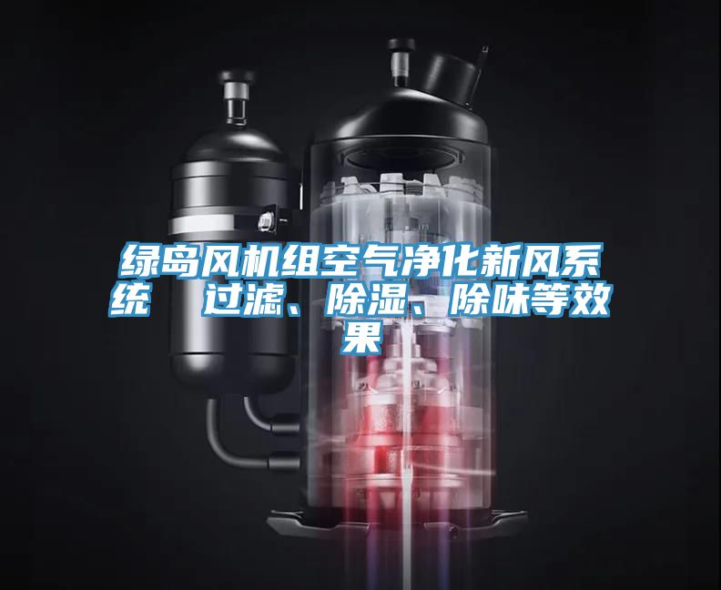綠島風機組空氣凈化新風系統(tǒng)  過濾、除濕、除味等效果