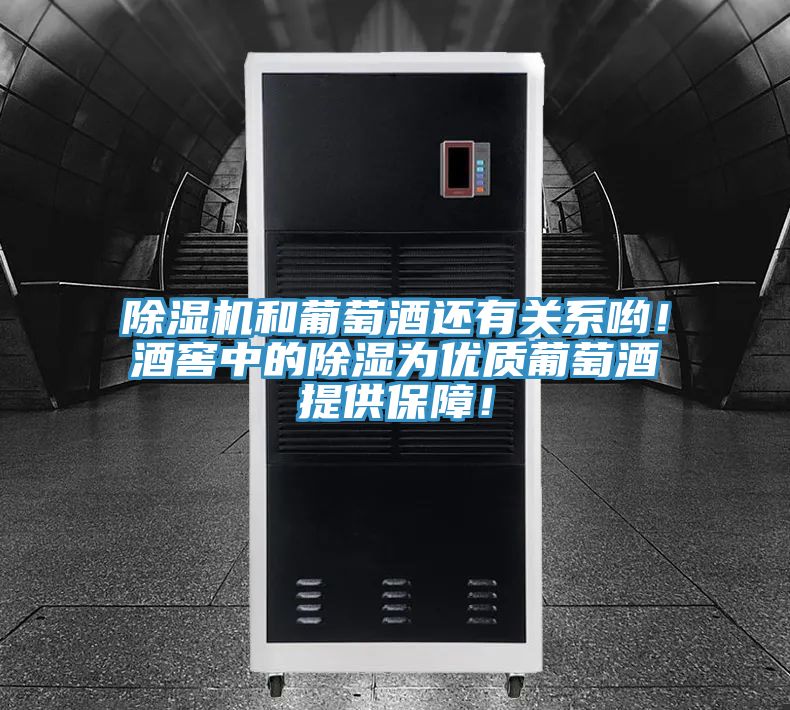 除濕機(jī)和葡萄酒還有關(guān)系喲！酒窖中的除濕為優(yōu)質(zhì)葡萄酒提供保障！