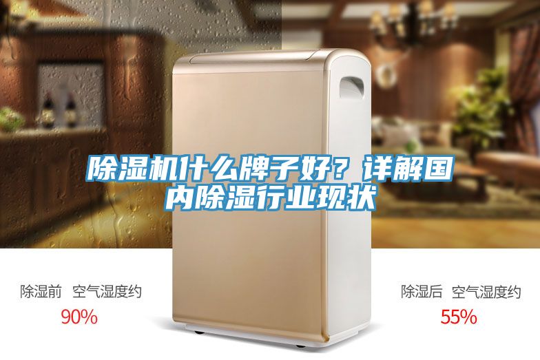 除濕機什么牌子好？詳解國內(nèi)除濕行業(yè)現(xiàn)狀
