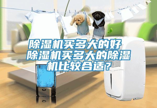 除濕機買多大的好 除濕機買多大的除濕機比較合適？