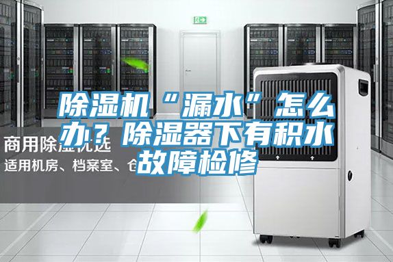 除濕機“漏水”怎么辦？除濕器下有積水故障檢修