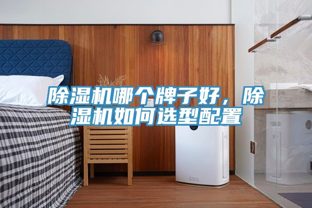 除濕機(jī)哪個(gè)牌子好，除濕機(jī)如何選型配置