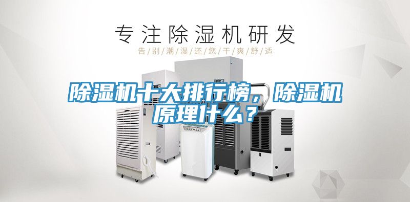 除濕機十大排行榜，除濕機原理什么？