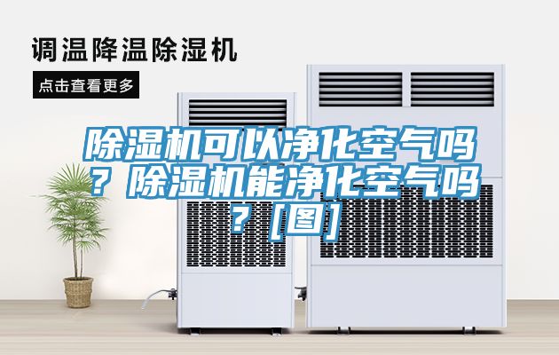 除濕機(jī)可以凈化空氣嗎？除濕機(jī)能凈化空氣嗎？[圖]
