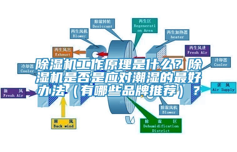 除濕機(jī)工作原理是什么？除濕機(jī)是否是應(yīng)對(duì)潮濕的最好辦法（有哪些品牌推薦）？