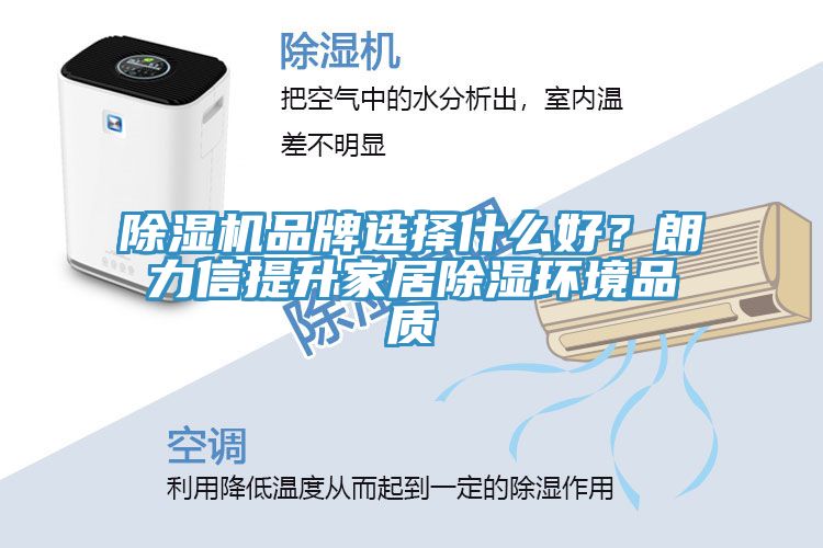 除濕機(jī)品牌選擇什么好？朗力信提升家居除濕環(huán)境品質(zhì)