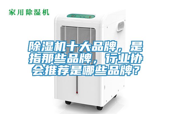 除濕機十大品牌，是指那些品牌，行業(yè)協(xié)會推薦是哪些品牌？