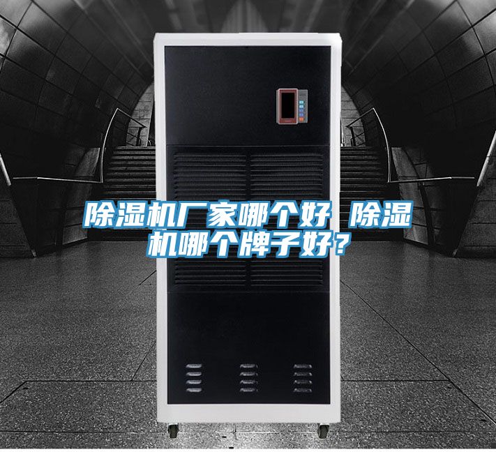 除濕機(jī)廠家哪個(gè)好 除濕機(jī)哪個(gè)牌子好？