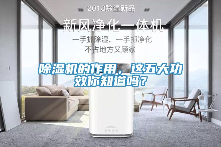 除濕機(jī)的作用，這五大功效你知道嗎？