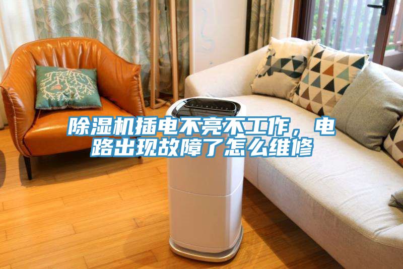 除濕機插電不亮不工作，電路出現(xiàn)故障了怎么維修