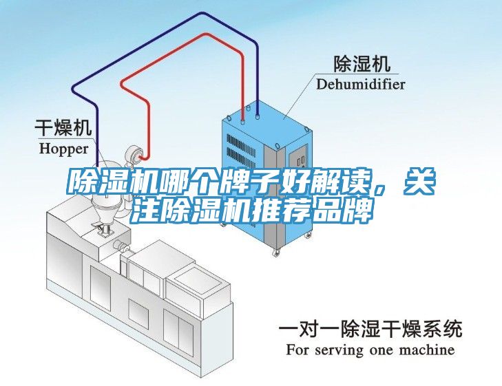 除濕機哪個牌子好解讀，關注除濕機推薦品牌