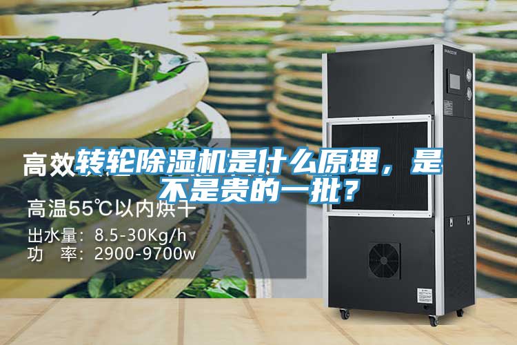 轉(zhuǎn)輪除濕機是什么原理，是不是貴的一批？
