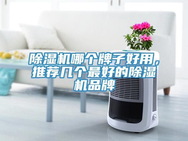 除濕機哪個牌子好用，推薦幾個最好的除濕機品牌