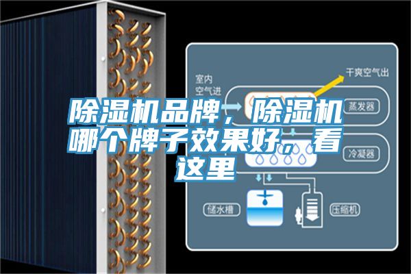 除濕機(jī)品牌，除濕機(jī)哪個牌子效果好，看這里