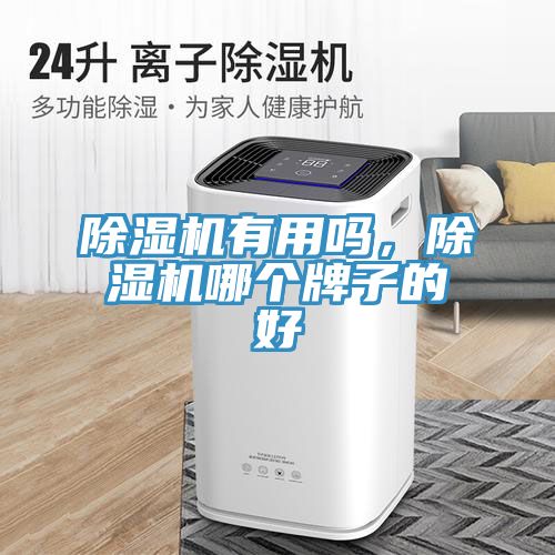 除濕機(jī)有用嗎，除濕機(jī)哪個牌子的好