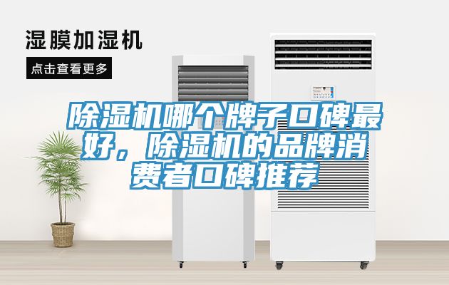除濕機哪個牌子口碑最好，除濕機的品牌消費者口碑推薦