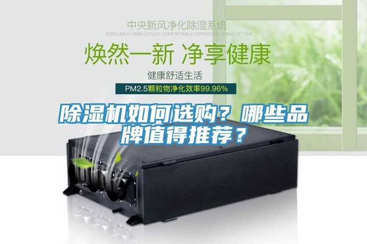 除濕機如何選購？哪些品牌值得推薦？