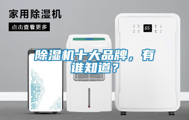 除濕機十大品牌，有誰知道？
