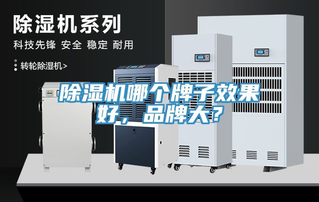 除濕機(jī)哪個(gè)牌子效果好，品牌大？