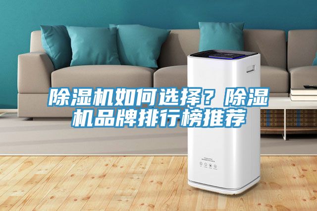 除濕機如何選擇？除濕機品牌排行榜推薦