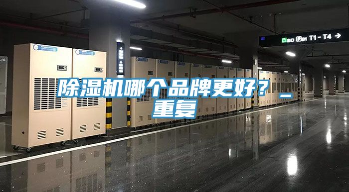 除濕機哪個品牌更好？_重復