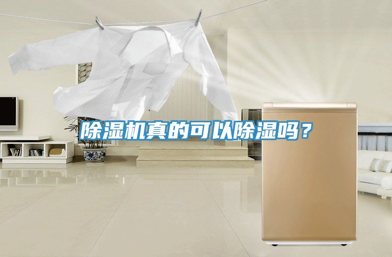 除濕機真的可以除濕嗎？