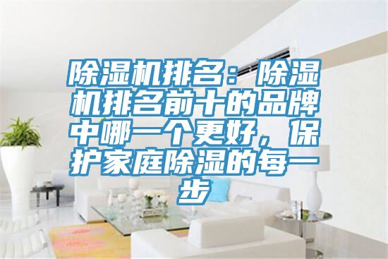 除濕機排名：除濕機排名前十的品牌中哪一個更好，保護家庭除濕的每一步