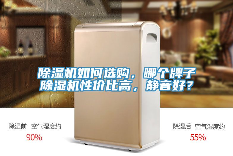 除濕機(jī)如何選購，哪個牌子除濕機(jī)性價比高，靜音好？