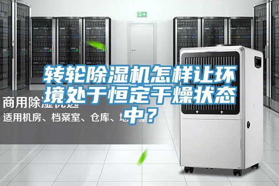 轉(zhuǎn)輪除濕機怎樣讓環(huán)境處于恒定干燥狀態(tài)中？