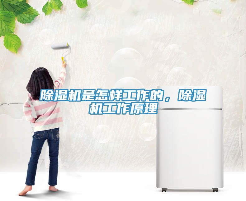 除濕機是怎樣工作的，除濕機工作原理
