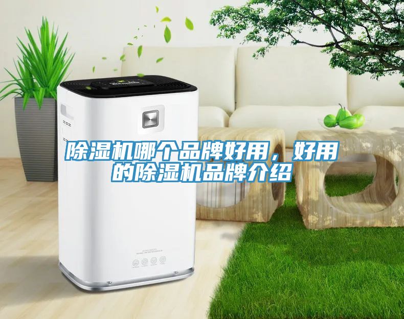除濕機(jī)哪個(gè)品牌好用，好用的除濕機(jī)品牌介紹