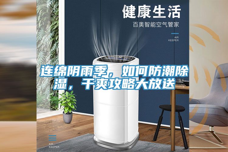 連綿陰雨季，如何防潮除濕，干爽攻略大放送