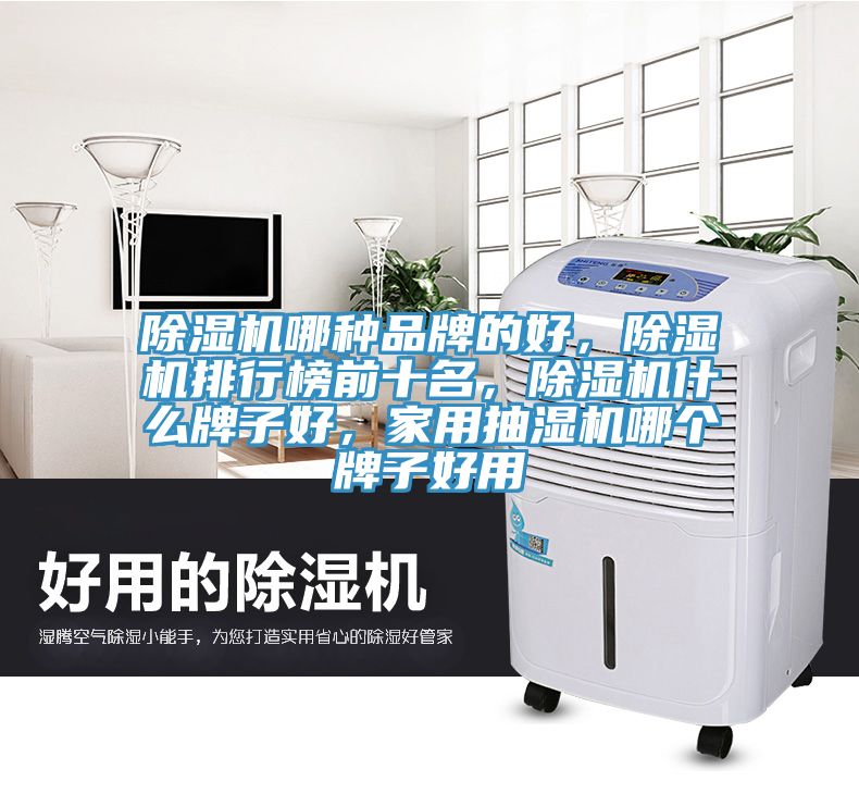 除濕機(jī)哪種品牌的好，除濕機(jī)排行榜前十名，除濕機(jī)什么牌子好，家用抽濕機(jī)哪個(gè)牌子好用