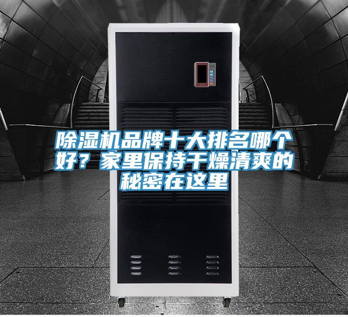 除濕機品牌十大排名哪個好？家里保持干燥清爽的秘密在這里