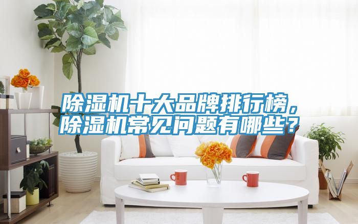 除濕機十大品牌排行榜，除濕機常見問題有哪些？