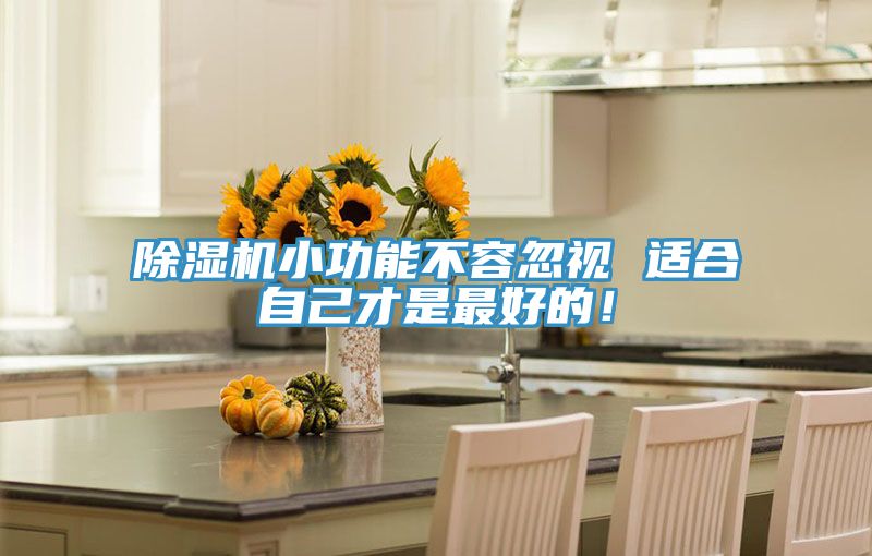 除濕機(jī)小功能不容忽視 適合自己才是最好的！
