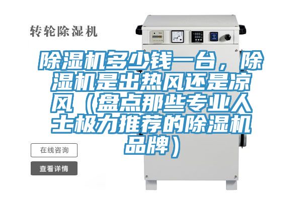 除濕機多少錢一臺，除濕機是出熱風(fēng)還是涼風(fēng)（盤點那些專業(yè)人士極力推薦的除濕機品牌）