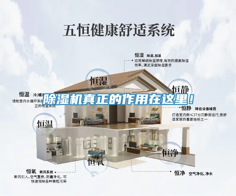 除濕機(jī)真正的作用在這里！
