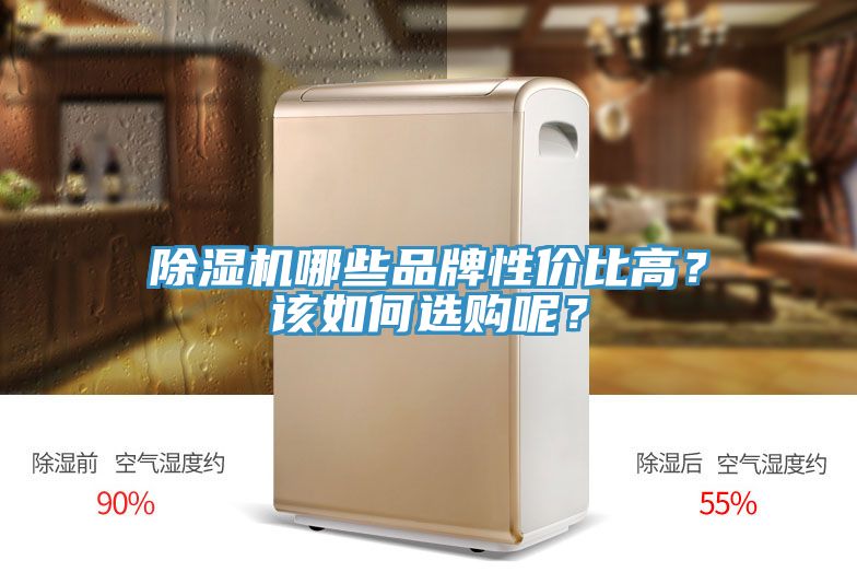 除濕機(jī)哪些品牌性價(jià)比高？該如何選購(gòu)呢？
