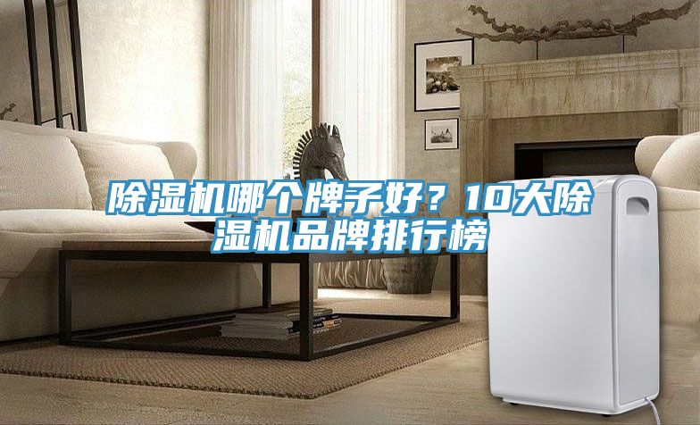 除濕機哪個牌子好？10大除濕機品牌排行榜