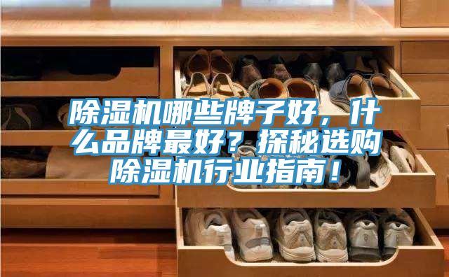 除濕機(jī)哪些牌子好，什么品牌最好？探秘選購(gòu)除濕機(jī)行業(yè)指南！