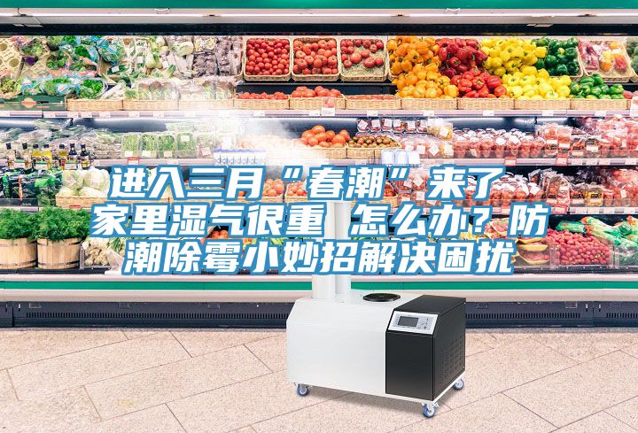 進(jìn)入三月“春潮”來了 家里濕氣很重 怎么辦？防潮除霉小妙招解決困擾