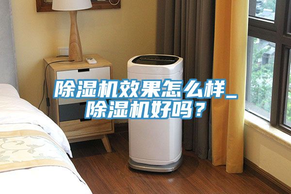 除濕機(jī)效果怎么樣_除濕機(jī)好嗎？