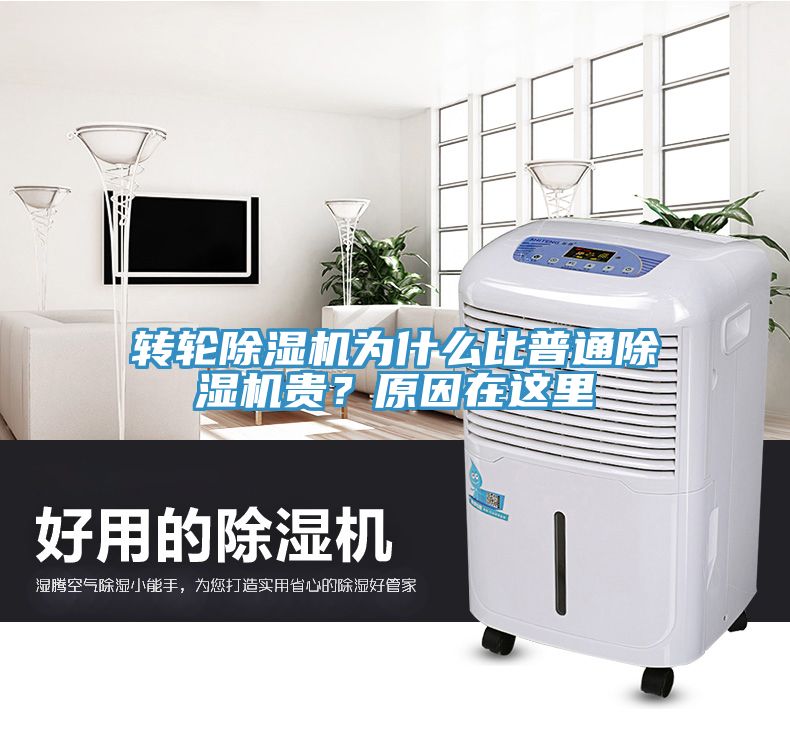 轉輪除濕機為什么比普通除濕機貴？原因在這里