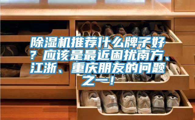 除濕機(jī)推薦什么牌子好？應(yīng)該是最近困擾南方、江浙、重慶朋友的問題之一！