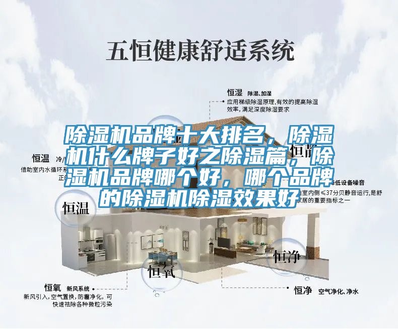 除濕機(jī)品牌十大排名，除濕機(jī)什么牌子好之除濕篇，除濕機(jī)品牌哪個(gè)好，哪個(gè)品牌的除濕機(jī)除濕效果好