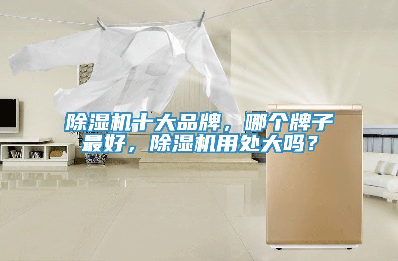 除濕機十大品牌，哪個牌子最好，除濕機用處大嗎？