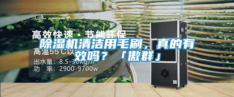 除濕機清潔用毛刷，真的有效嗎？「傲群」