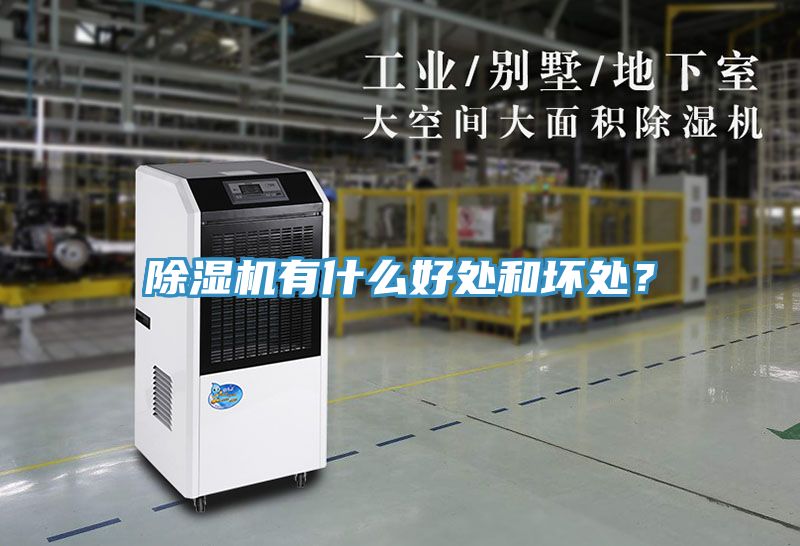 除濕機有什么好處和壞處？