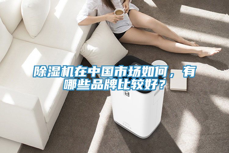 除濕機(jī)在中國(guó)市場(chǎng)如何，有哪些品牌比較好？